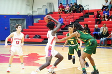 Enlarge photo 399