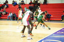 Enlarge photo 410