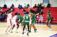 Enlarge photo 426