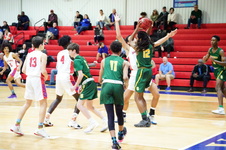 Enlarge photo 427