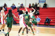 Enlarge photo 457