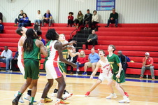 Enlarge photo 459