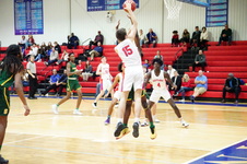 Enlarge photo 550