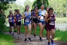 Enlarge photo 29
