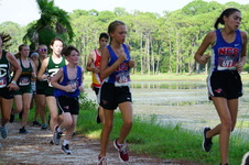 Enlarge photo 35