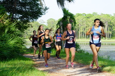 Enlarge photo 51