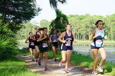 Enlarge photo 52