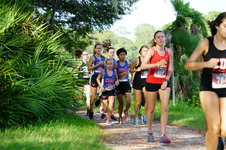 Enlarge photo 65