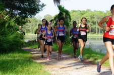 Enlarge photo 67