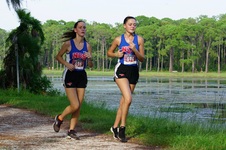 Enlarge photo 109
