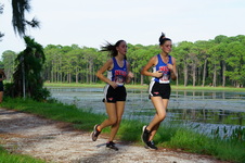 Enlarge photo 113