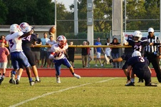 Enlarge photo 83