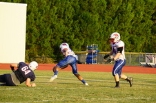 Enlarge photo 93