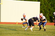 Enlarge photo 96