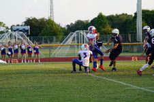 Enlarge photo 176