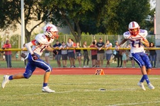 Enlarge photo 206
