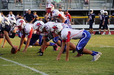 Enlarge photo 252