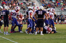 Enlarge photo 261