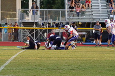 Enlarge photo 269