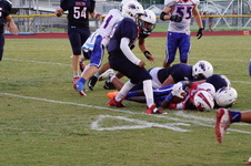 Enlarge photo 309
