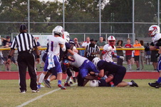 Enlarge photo 334