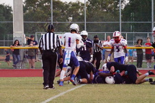Enlarge photo 335