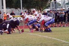 Enlarge photo 343