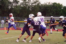 Enlarge photo 377