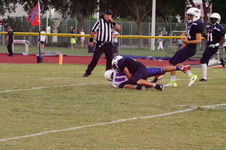 Enlarge photo 380