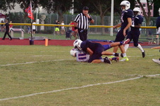 Enlarge photo 382