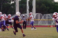 Enlarge photo 386
