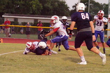 Enlarge photo 427