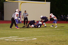 Enlarge photo 462