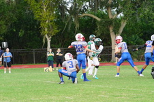 Enlarge photo 40