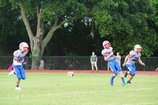 Enlarge photo 46
