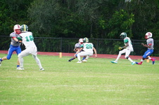 Enlarge photo 62