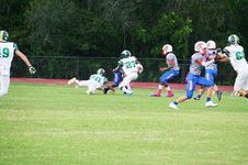 Enlarge photo 64
