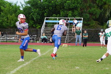 Enlarge photo 87
