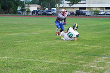 Enlarge photo 175