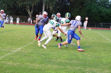 Enlarge photo 181