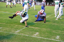 Enlarge photo 185