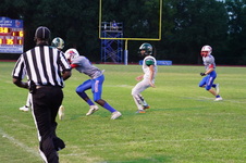 Enlarge photo 195