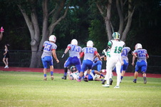 Enlarge photo 197