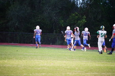 Enlarge photo 206