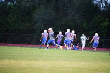Enlarge photo 205