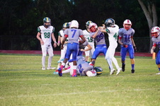 Enlarge photo 212