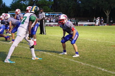 Enlarge photo 215