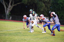 Enlarge photo 223