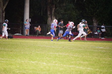 Enlarge photo 238