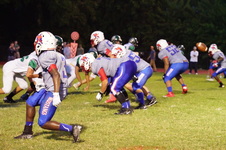 Enlarge photo 271